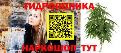 крисы Конаково