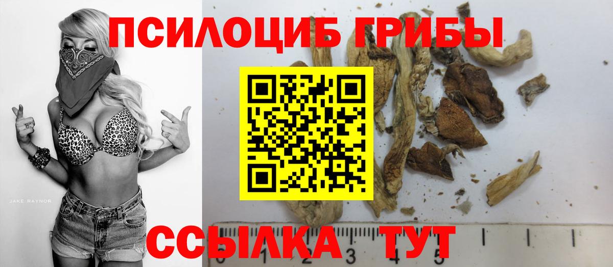 Псилоцибиновые грибы мухоморы Котлас